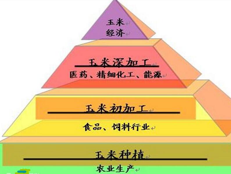 河南糧院玉米深加工設(shè)備提供玉米經(jīng)濟(jì)金字塔 河南糧院玉米深加工設(shè)備提供玉米經(jīng)濟(jì)金字塔